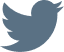 social icon